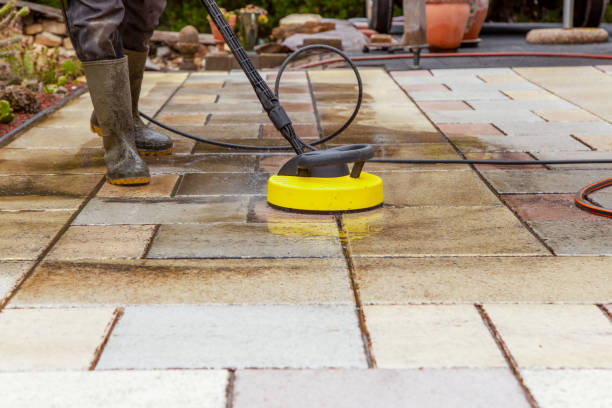 Best Pre-Holiday Cleaning  in Camp Point, IL